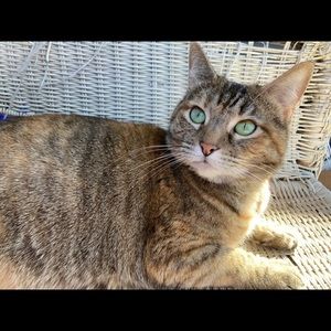 Meet your Posher, Tiffany